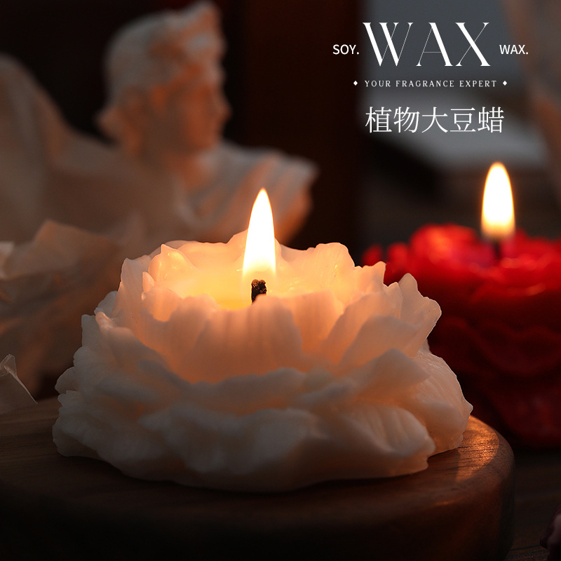 Kamelya kokulu mumlar basit ge - Soy Wax incelemesi ve fiyatı